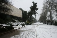 בית הספרים ושדרות מאגנס